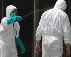 Alerta sanitário dispara na América Latina com avanço da gripe das aves