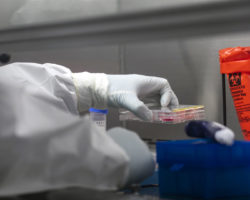 Pandemia terá tido origem em fuga de laboratório, dizem EUA