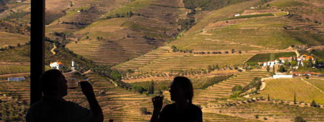 Exportações de vinhos portugueses sobem quase 4% até junho