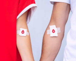 Dar sangue "pode ajudar a salvar vidas". Saiba se pode fazê-lo (e onde)