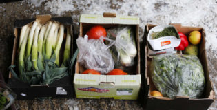 ‘Startup’ cria solução que combate desperdício da calabouço agroalimentar