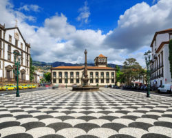 Madeira: ADN quer escolher um deputado e não está disponível para acordos