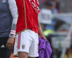 "Rafa Silva foi exemplar enquanto jogador do Benfica e exemplar na saída"
